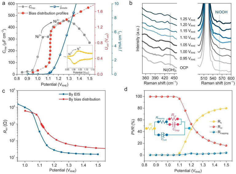 Bias distribution and regulation in photoelectrochemical overall water ...