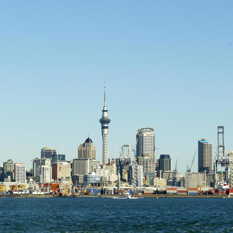 A View from the Auckland Harbour looking back onto