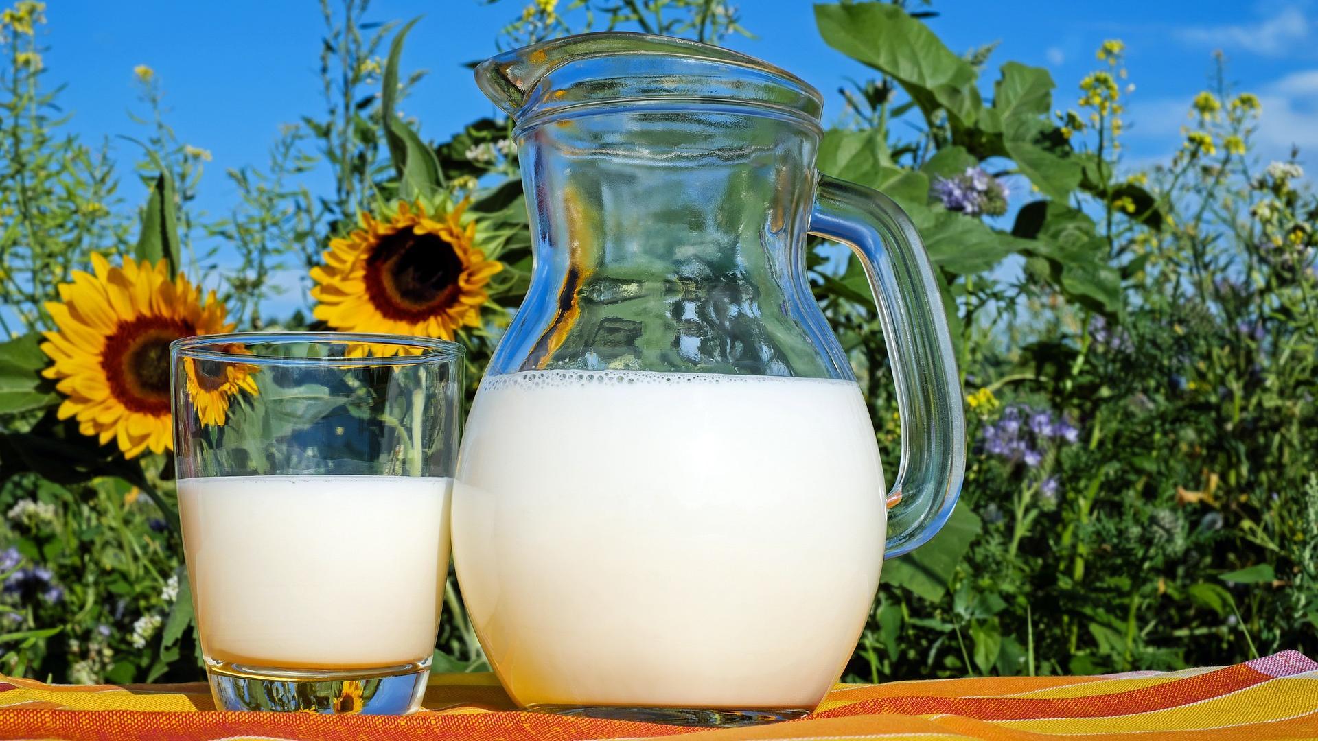 esto es lo que dice la ciencia sobre tomar leche desnatada para adelgazar