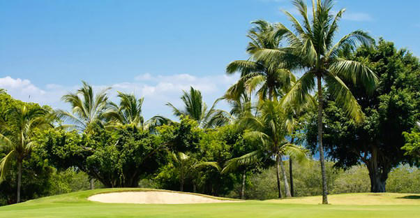 Mexico's Top 5 World-Class Golf Resorts
