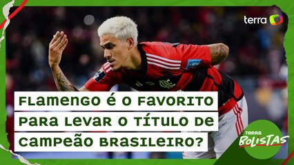 Flamengo é o favorito para levar o título de campeão brasileiro?