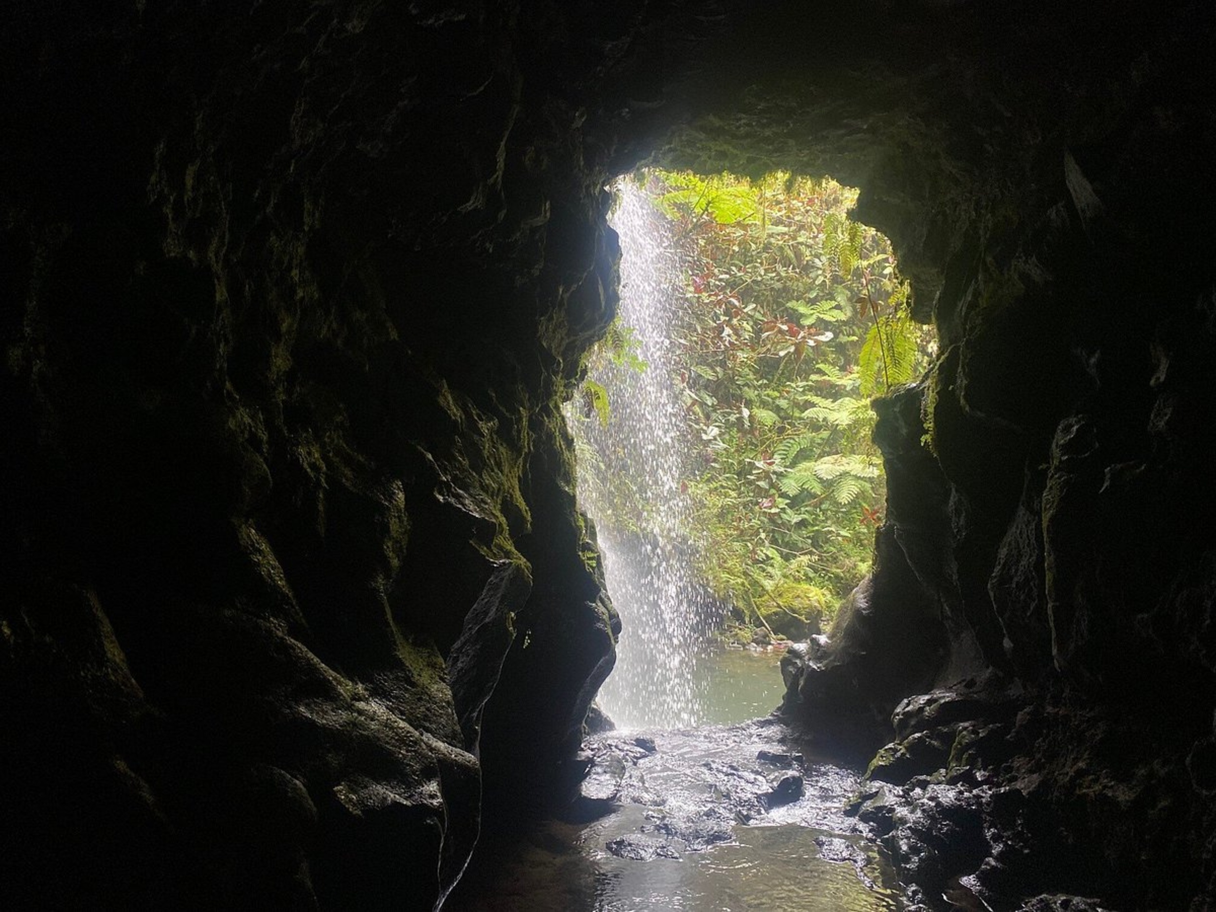 <p>Is the ocean not cold enough? Pop into one of these caves, which are basically cold springs with volcanic rocks. You'll want to ask a local how to get there, but taking a dip in one of these cold pools is well worth the stop.</p><p><a href='https://www.msn.com/en-us/community/channel/vid-cj9pqbr0vn9in2b6ddcd8sfgpfq6x6utp44fssrv6mc2gtybw0us'>Follow us on MSN to see more of our exclusive lifestyle content.</a></p>