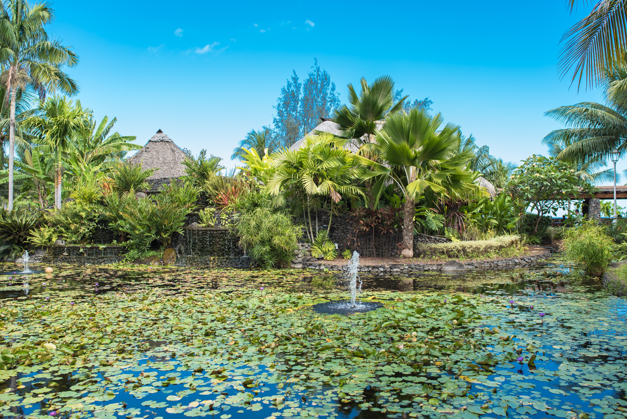 <p>Tahiti is full of gardens, but the standout is Pa'ofa'i's well-manicured ponds. Having been a staple of local hangouts, the garden is now more of a tourist activity, but who can blame tourists for showing up to such a lyrical place?</p><p>You may also like: <a href='https://www.yardbarker.com/lifestyle/articles/15_easy_ways_to_drink_more_water/s1__38412713'>15 easy ways to drink more water</a></p>