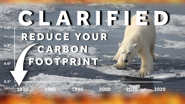 How to reduce your carbon footprint