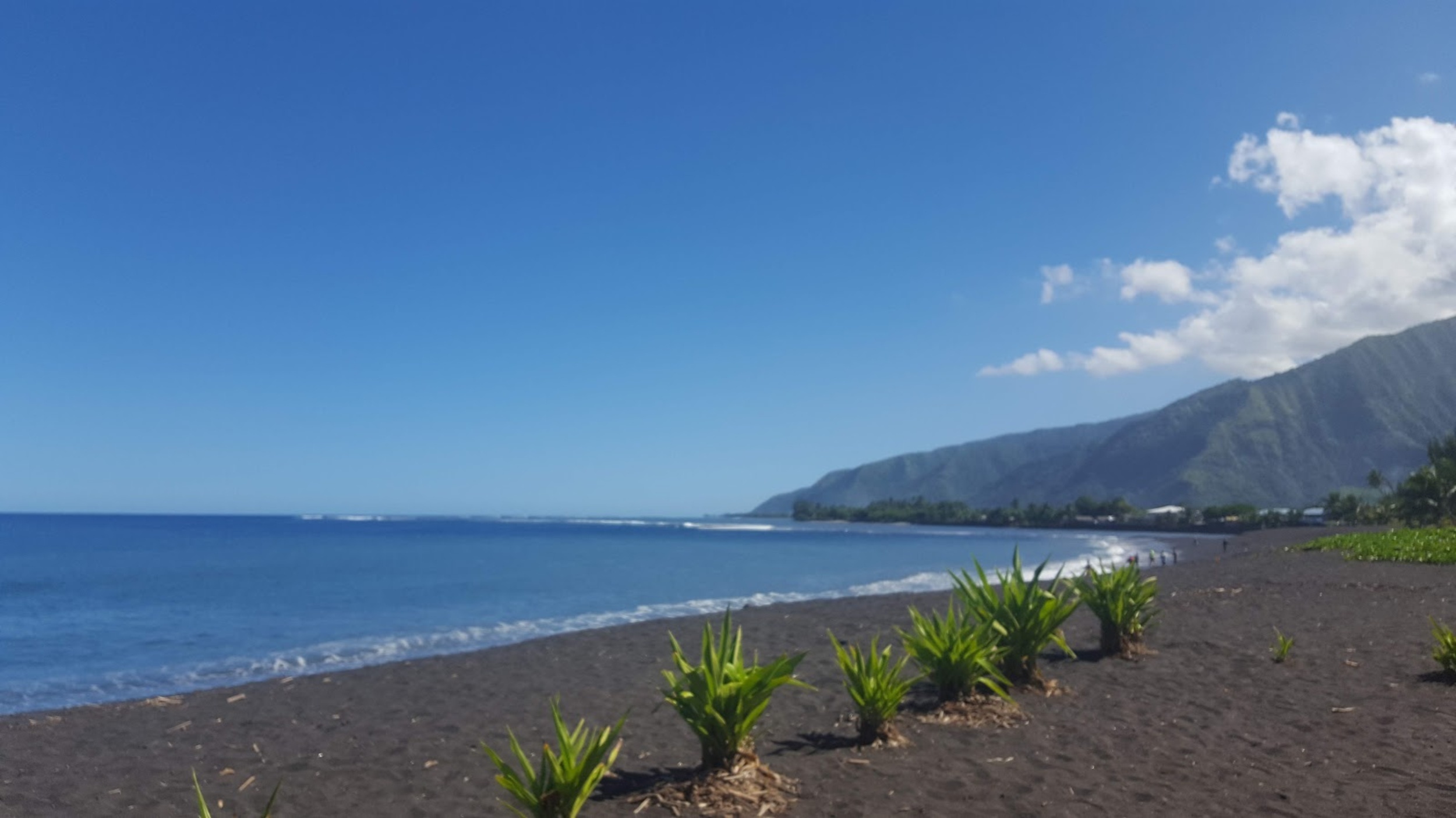<p>The sand is...black? Thank goodness Tahiti hasn't gentrified its sand yet since there's nothing quite like enjoying a black sand beach. Amidst palm trees, fallen coconuts, and a vast jungle backdrop, Taharuu offers a volcanic beach unlike any other. </p><p>You may also like: <a href='https://www.yardbarker.com/lifestyle/articles/15_unexpected_places_to_add_a_plant_in_your_home_040824/s1__38360717'>15 unexpected places to add a plant in your home</a></p>