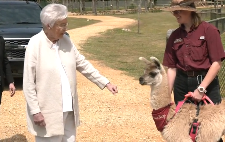Gov. Kay Ivey meets ‘Miss Kay’ the llama at Alabama Safari Park