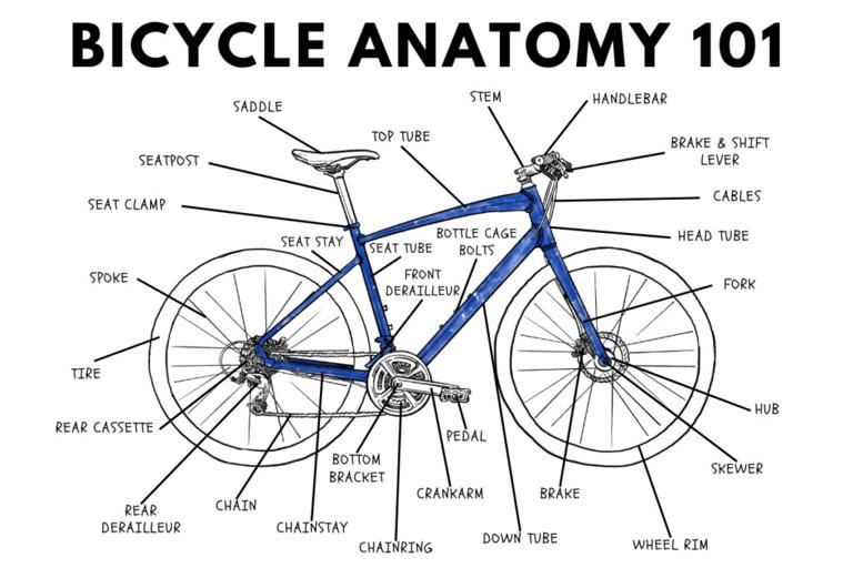 Bicycle Anatomy 101 Diagram: Finally Name Your Bike’s Parts