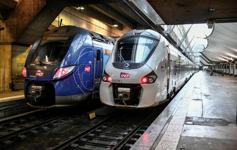 TER trains in France (gettyimages.com)
