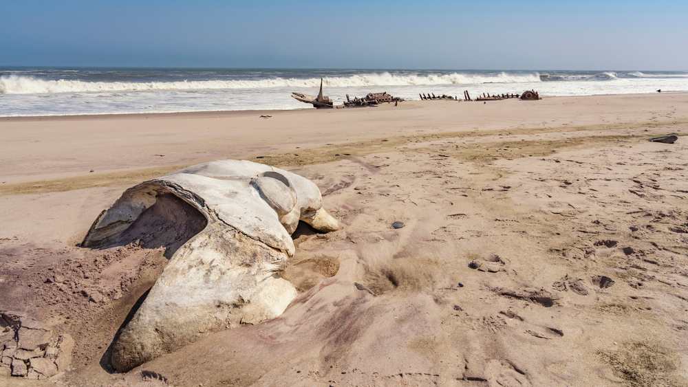 The Skeleton Coast: One Of The Deadliest Places In The World