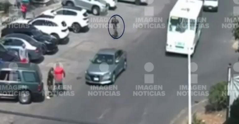 Filtran Nuevo Video De La Golpiza De “fofo” Márquez A Mujer En Edomex 7562