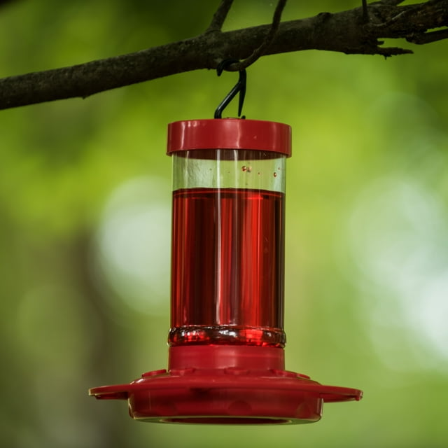 The 9 Best Hummingbird Feeders to Attract the Most Flyers