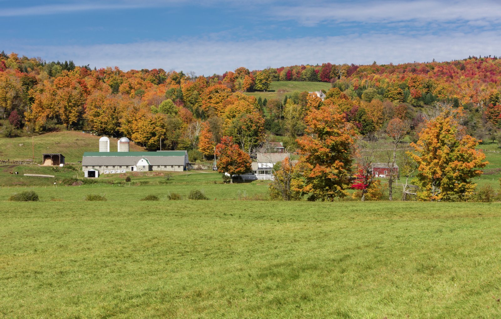 <p class="wp-caption-text">Image Credit: Shutterstock / Nature’s Charm</p>  <p><span>Environmental advocate, introspective, and a bit of an old soul. If you’re passionate about conservation, enjoy quiet contemplation, and love the charm of small towns, Vermont’s green hills are your home.</span></p>