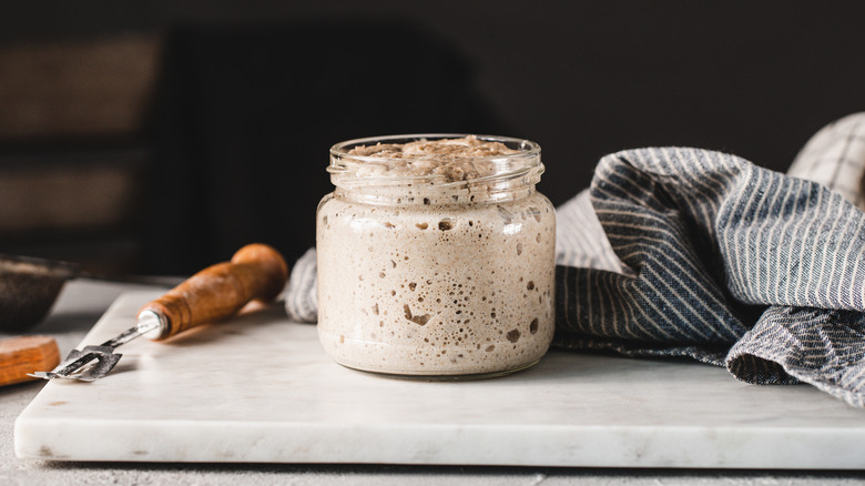 The World's 'Oldest' Sourdough Starter Was Made With 4,500-Year-Old Yeast