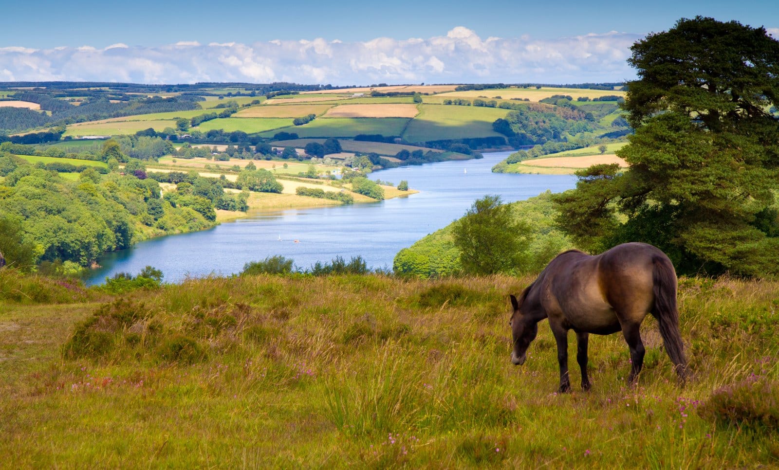 Image Credit: Shutterstock / Charlesy <p>Somerset, with its levels and moors, offers a watery landscape even before the skies open up. The local folklore is rich with tales of rains that transform paths into rivers and fields into lakes.</p>