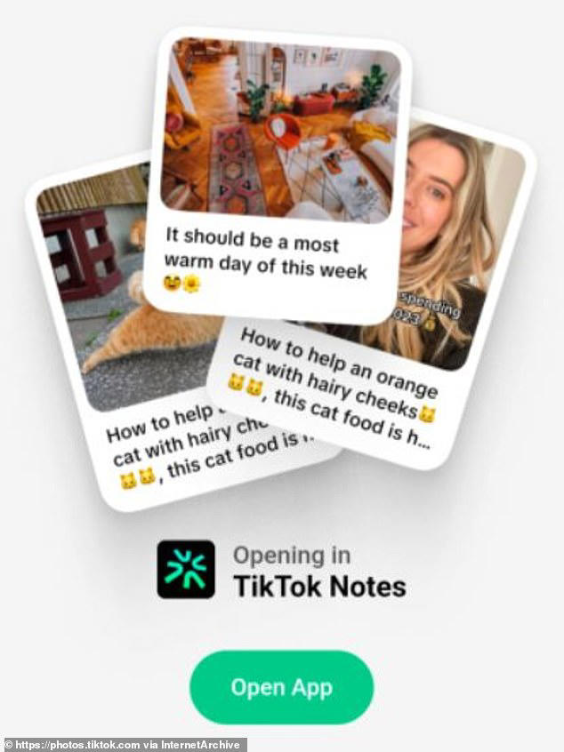 TikTok takes on Instagram! Video app is planning to release a photo-sharing  app called TikTok Notes