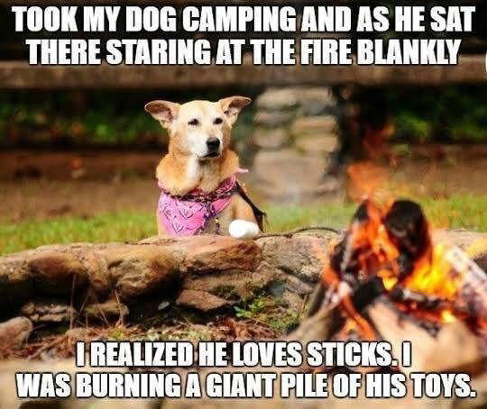 50 Funny Camping Memes That Speak the Truth