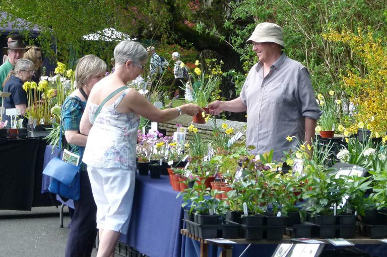 Popular plant fair returns to historic Greater Manchester hall this spring