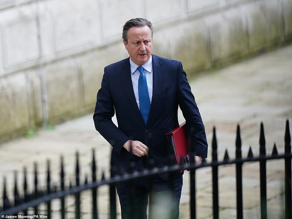 David Cameron Says Britain Won't Suspend Arms Sales To Israel