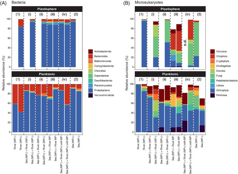 Study finds microbes hitchhike on microplastics to reach the sea