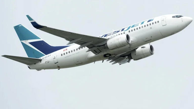 WestJet has resumed service at Deer Lake Regional Airport, now offering seasonal direct flights to Toronto and Calgary. The Calgary flight marks the airport's first direct connection to Alberta, according to airport authority CEO Tammy Priddle. (Jonathan Hayward/The Canadian Press)