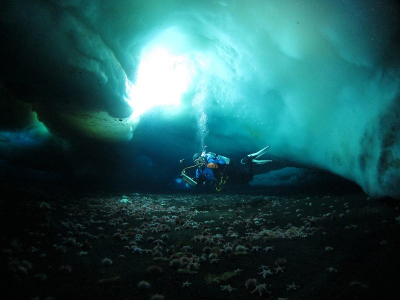 <p>An awful lot of scuba diving is done in tropical climates. But there are always going to be those adventurers who want a different kind of experience. The most extreme of these people head off the McMurdo Sound in Antarctica.</p> <p>In order to access the water, divers first have to cut a hole in the icy surface. Once they're down there, though, the views are spectacular. The pristine water is incredibly clear, giving divers limitless views of sea stars, urchins, and penguins.</p>