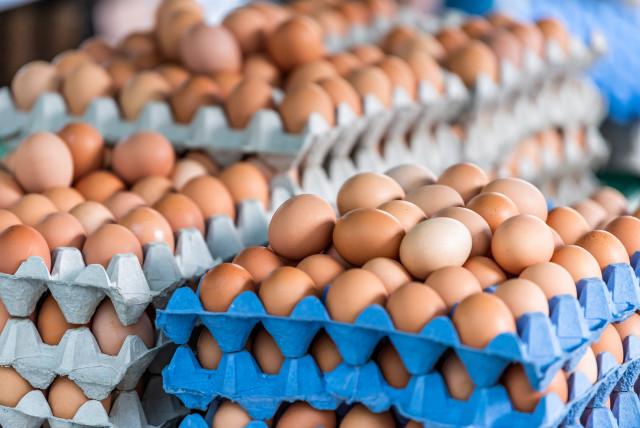 el precio del huevo sigue bajando: le contamos donde puede conseguir cubetas desde $11.000