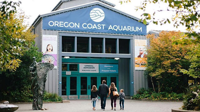 Newsweek nominates Oregon Coast Aquarium among best aquariums in the U.S.