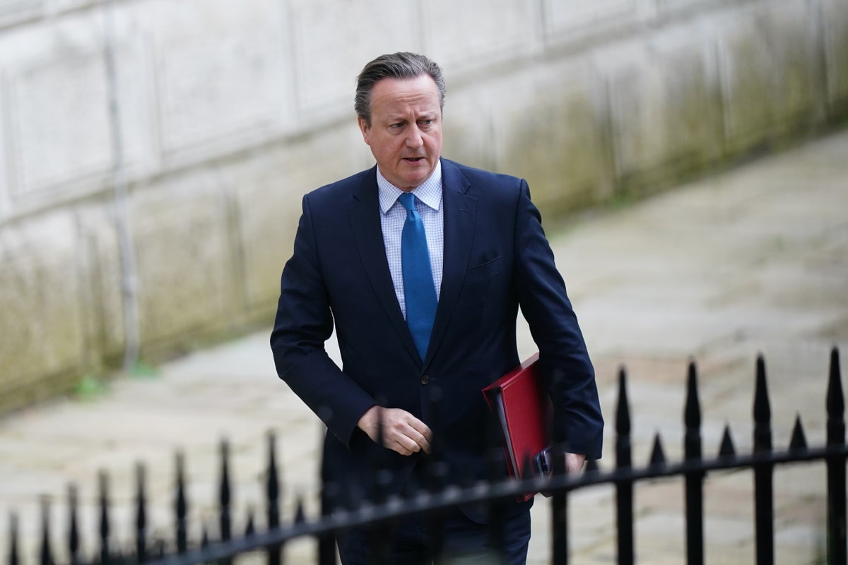 uk will continue allowing arms exports to israel – cameron