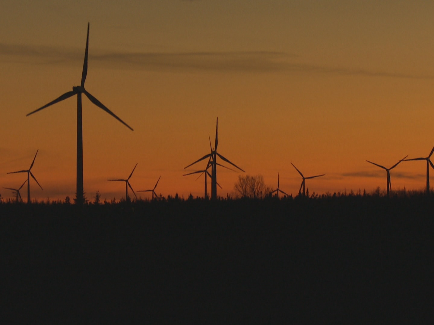 Terre-Neuve Donne Son Feu Vert Environnemental Au Mégaprojet éolien De ...