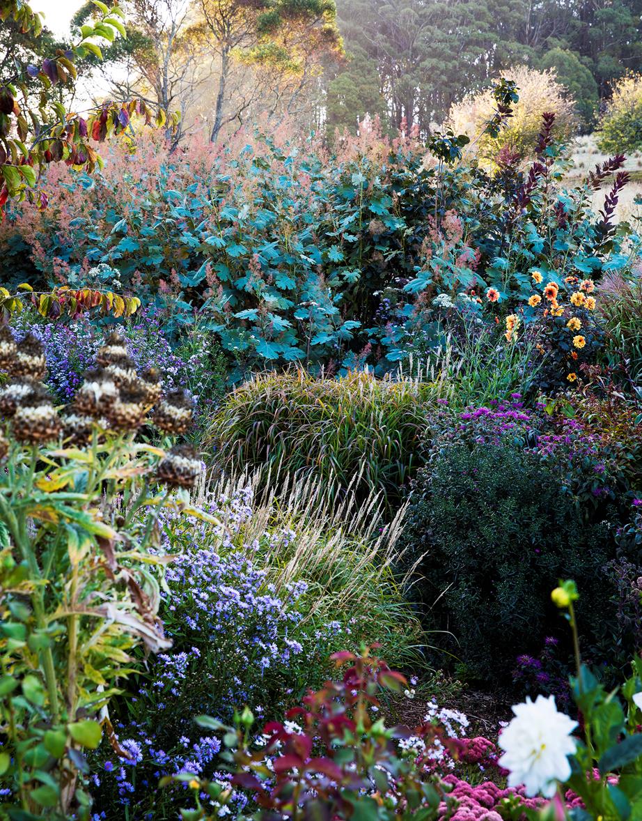 everything you need to know about creating a garden full of flourishing perennial plants
