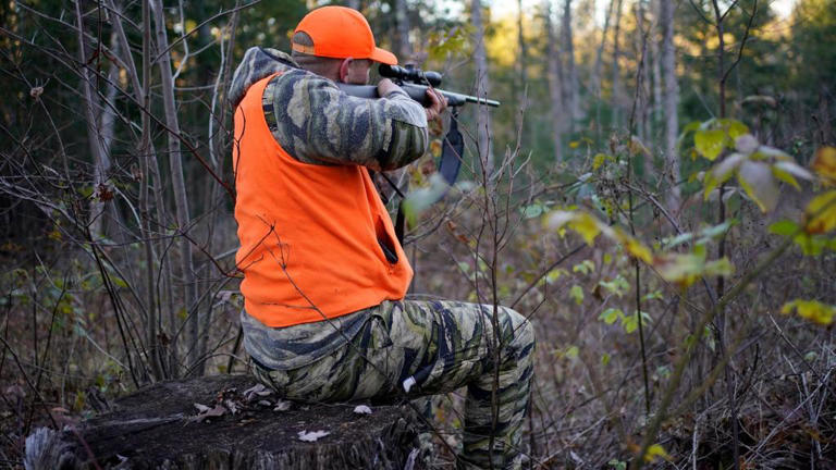 Could Pennsylvania lawmakers end the Sunday hunting ban? The Game ...