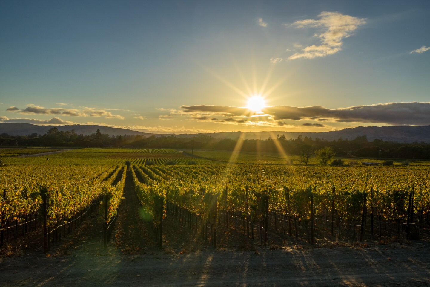 <h2>Valley of the Moon, Sonoma Valley</h2> <ul>   <li><b>Book now: </b><a class="Link" href="https://winecountrytrekking.com/store/?route=product/product&product_id=76" rel="noopener">Valley of the Moon</a>; $1,925 per person</li>  </ul> <p>Less of a point-to-point hike and more of a self-guided tour of state and local parks, the Sonoma Valley Hikers Trek offered by California-based Wine Country Trekking is a combination of long hikes in picturesque locations such as Kenwood and Glen Ellen, wine tastings overlooking vineyards, and dinner at local restaurants. And yes, breakfast, wine samples, and luggage transfers are included.<br>Over five days and four nights, you’ll spend three days hiking (the first and last days are reserved for arrival and relaxing before departure) about eight to nine miles per day up mountains, past lakes, and through orchards. You’ll also partake in picnic lunches, sip wine from local vineyards, and relax at luxury inns along the way. Depending on the day, you may be transported to and from trailheads for occasionally strenuous hikes, or you may hoof it to each destination. Either way, you’ll have earned your libations at the end of the day.</p>