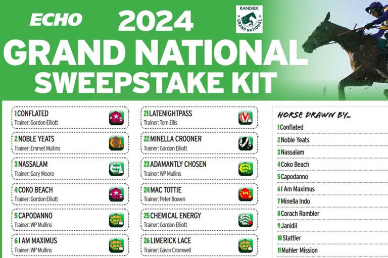 Grand National 2024 sweepstake kit: Print yours free for the big race
