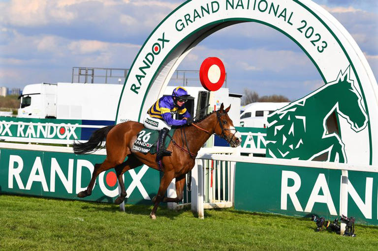 Grand National 2024 sweepstake kit that you can print for free