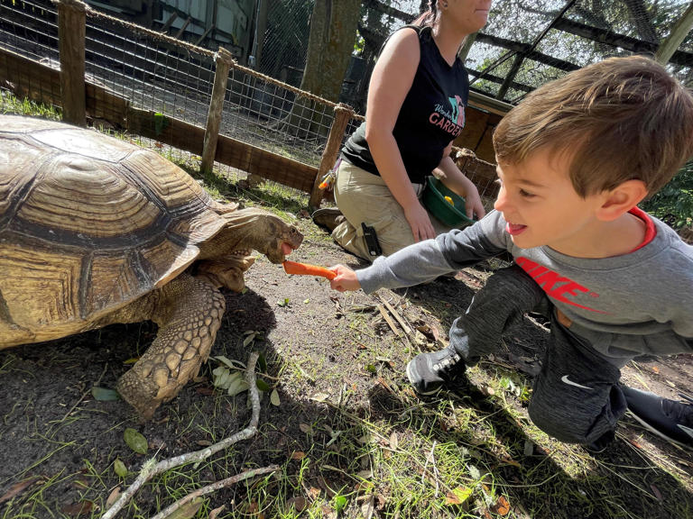 The Wonder Gardens provides animal encounters with alligators, flamingoes, parrots, turtles, tortoises and many other critters.