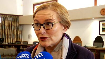 ‘ernomous victory’ over iec to benefit thousands of voters abroad – da’s zille