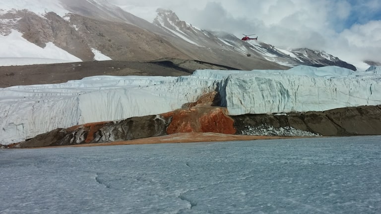 <p>One of Antarctica’s most eerie sights is tucked away in the Taylor Glacier: Blood Falls. This natural phenomenon occurs when iron-rich water oozes out of the glacier, oxidizing upon contact with air—turning the waterfall a dramatic red. It’s like Mother Nature’s own crime scene, without the crime.</p>