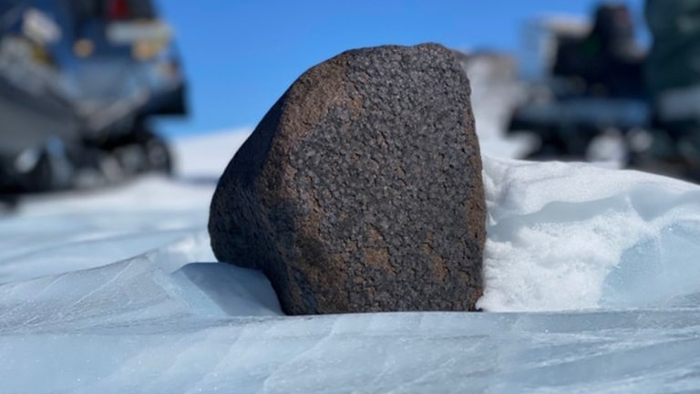 <p>No, not the extraterrestrial kind (well, as far as we know), but Antarctica is a hotspot for finding meteorites. Its white expanse makes these space rocks easier to spot, and the cold conditions help preserve them. Scientists have uncovered meteorites from Mars and even some containing amino acids, which are the building blocks of life.</p>