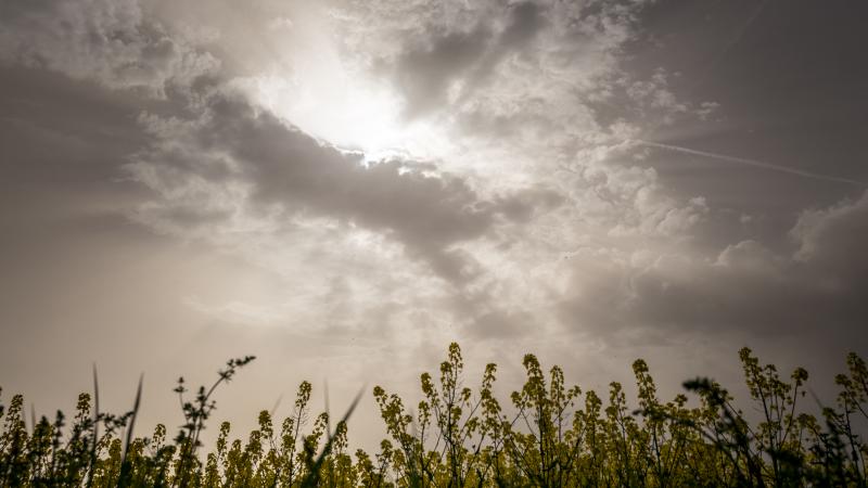 nuage de poussière du sahara au-dessus de la belgique : quel impact sur la qualité de l’air ?