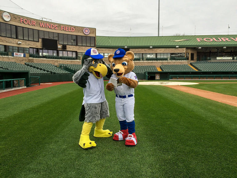 Column South Bend Cubs baseball is special on the field and in the stands