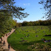 Neighbors rally for NYC Parks during budget negotiations<br>