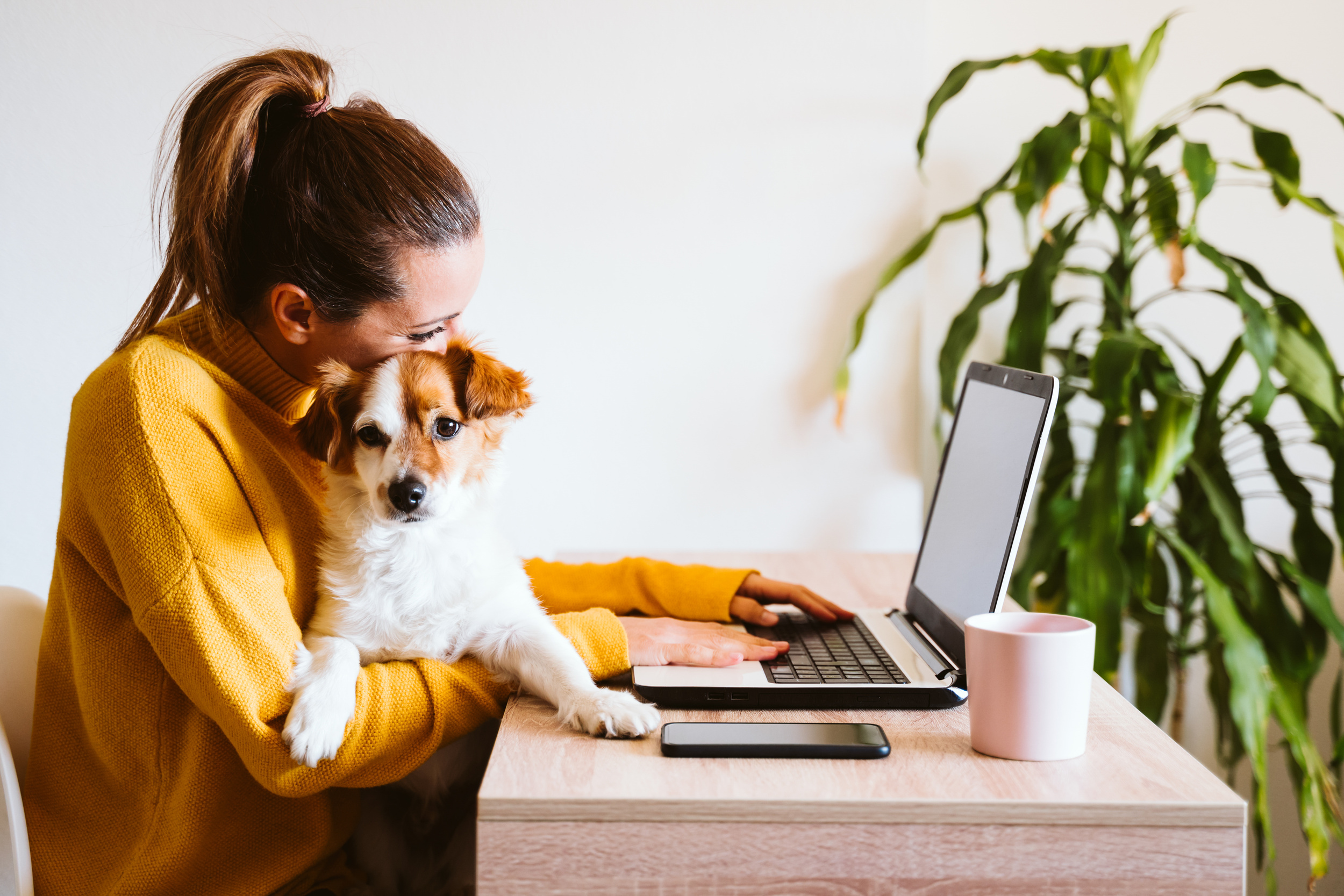 <p>The love for an animal is truly universal. But you won’t find the excessive dog-friendly culture that is prevalent in many American cities in a lot of other countries. And people aren’t dying to pet every dog that walks by — something that seems to be the norm amongst us Yanks.</p><p><a href='https://www.msn.com/en-us/community/channel/vid-cj9pqbr0vn9in2b6ddcd8sfgpfq6x6utp44fssrv6mc2gtybw0us'>Follow us on MSN to see more of our exclusive lifestyle content.</a></p>