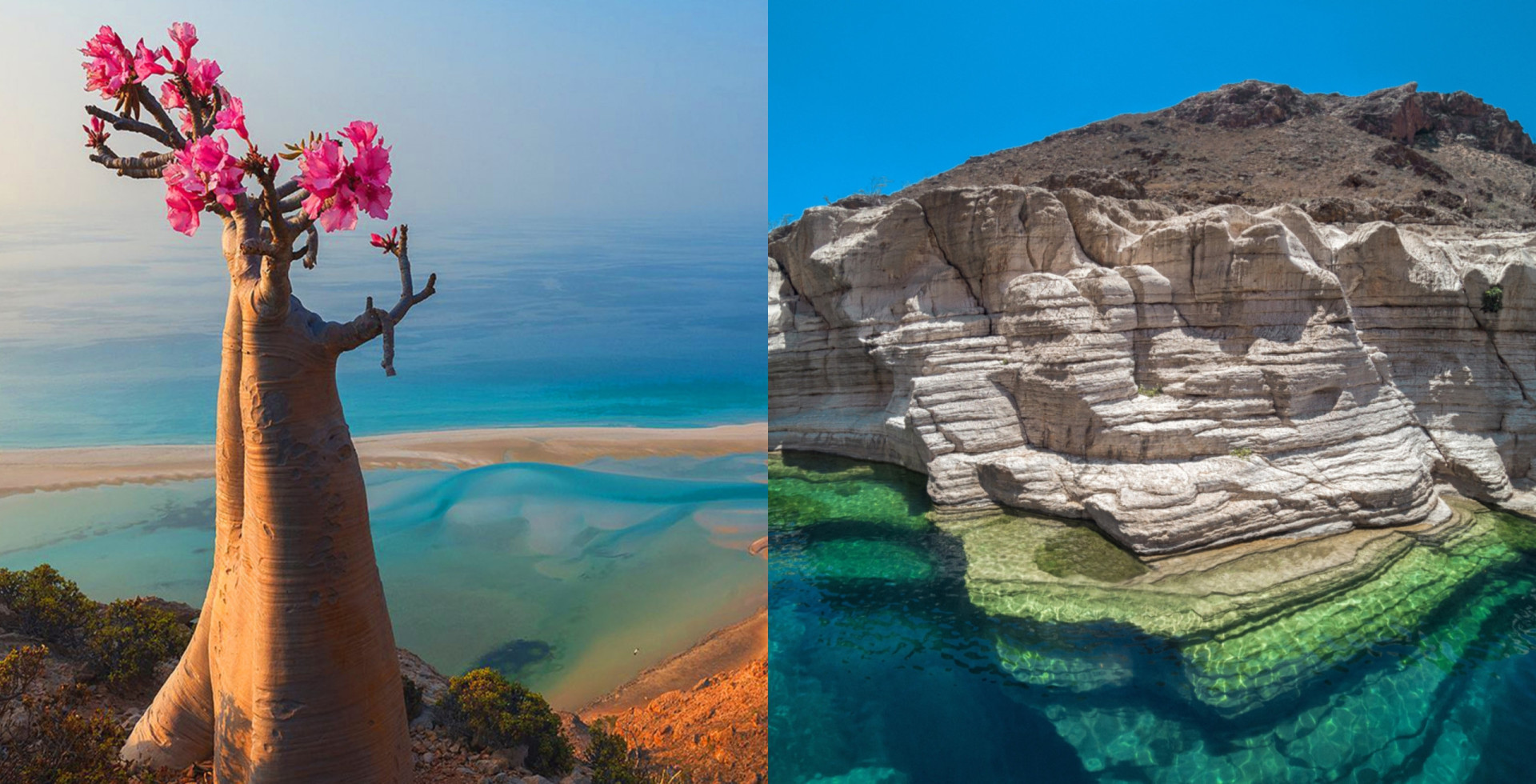 Socotra Island, the most unworldly place on the planet