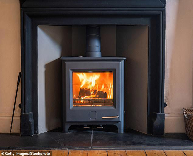 SNP should scrap woodburner ban, says exGreen MSP