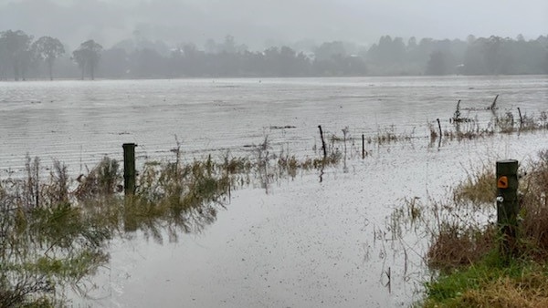 12 floods in four years leave shoalhaven farmers facing huge clean-up costs