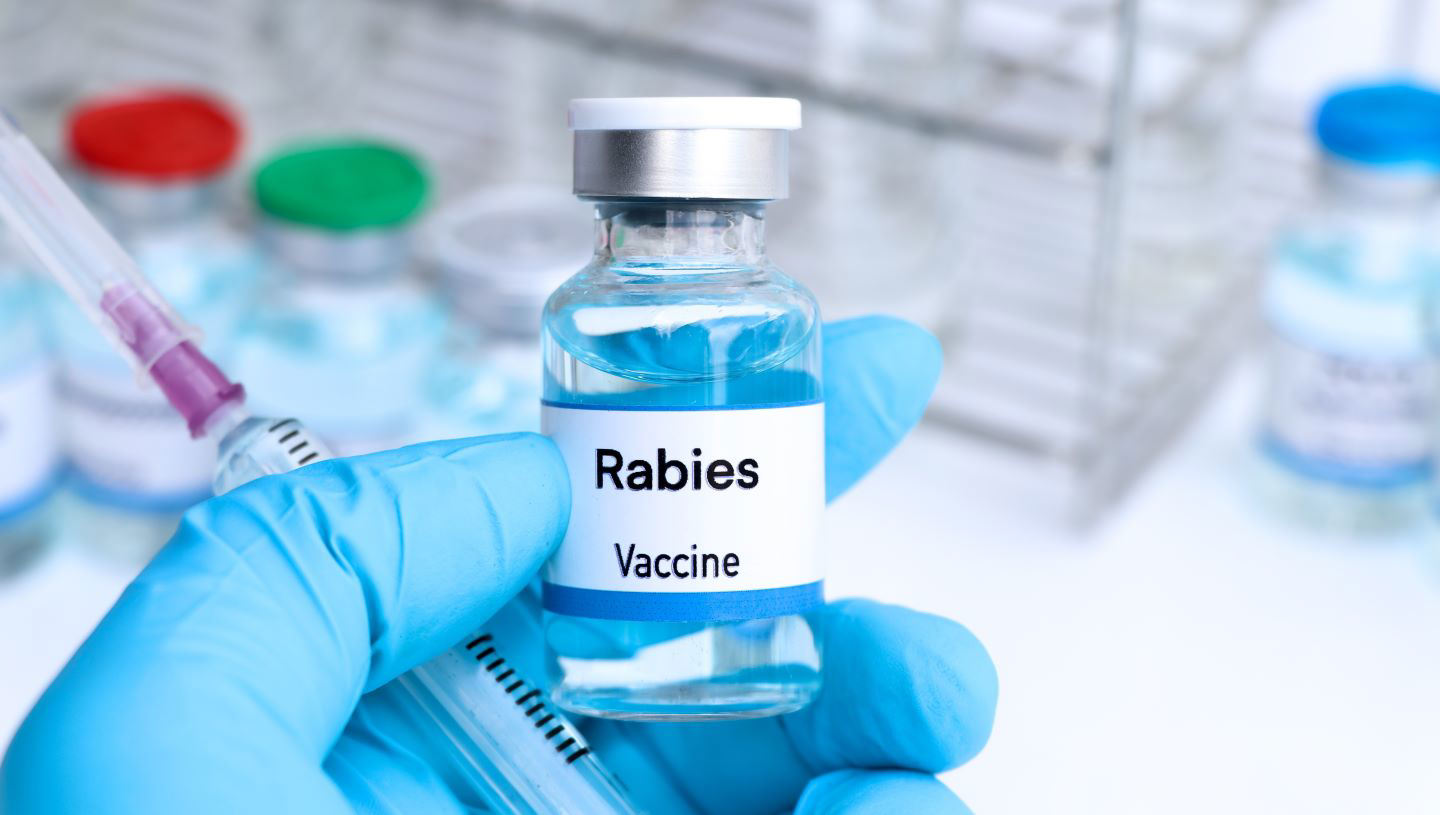 YS Biopharma reports positive interim data from rabies vaccine trial