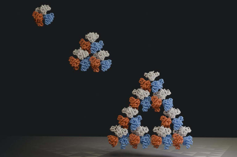 Fractal pattern identified at molecular scale in nature for first time