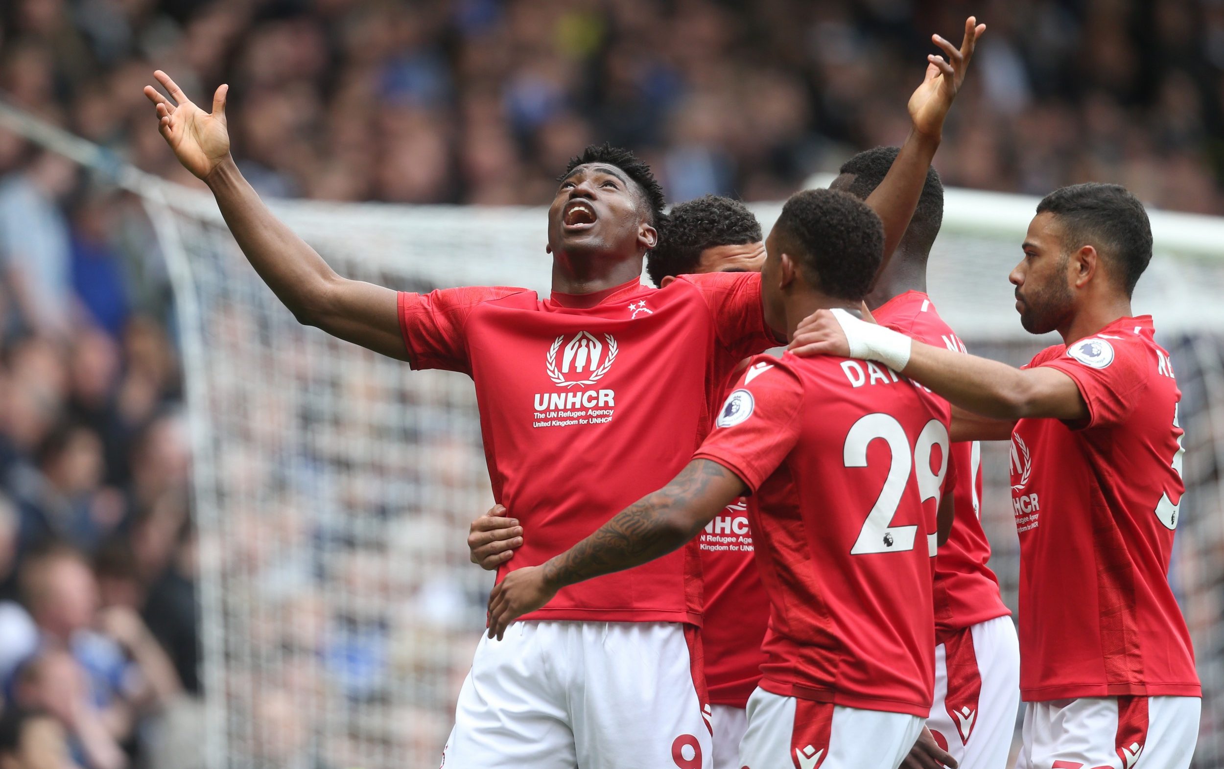 taiwo awoniyi set to hand nottingham forest major fitness boost in relegation fight