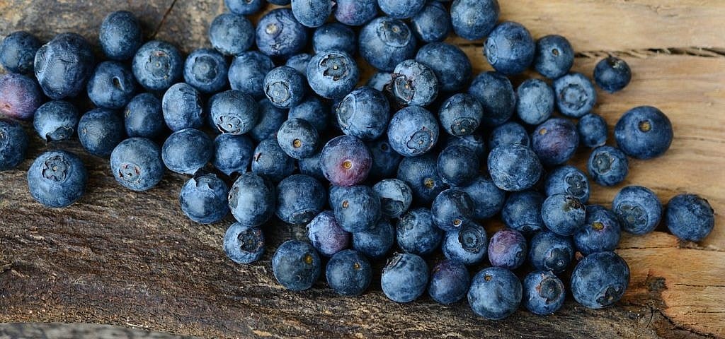 antioxidantien: wie sie wirken und welche lebensmittel viele beinhalten