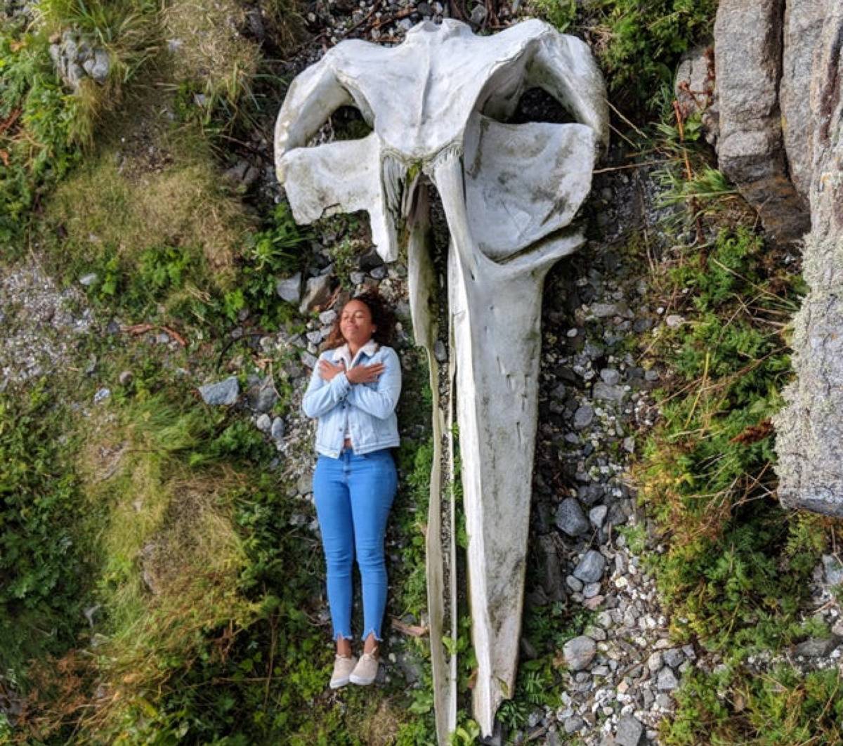 <p>Here's a picture of a woman laying down next to a whale skull, and it's kind of terrifying. </p> <p>But, wait, what if that's a bird skull and that lady is just a VERY, VERY tiny person? Food for thought. </p>